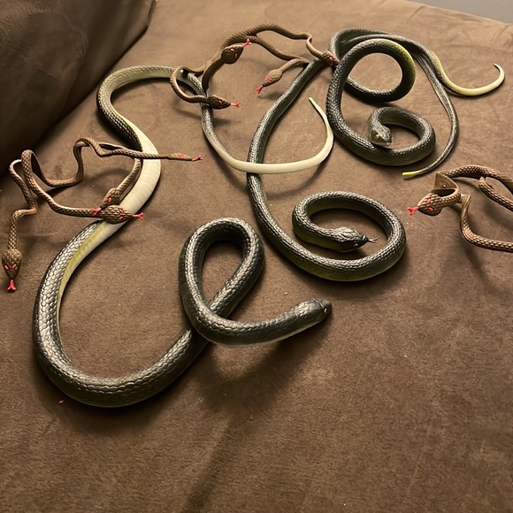 Accessories - Snake pieces for decorations or costumes
